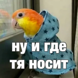 🤨
