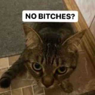 🤨