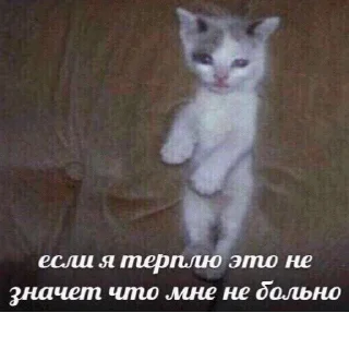😢