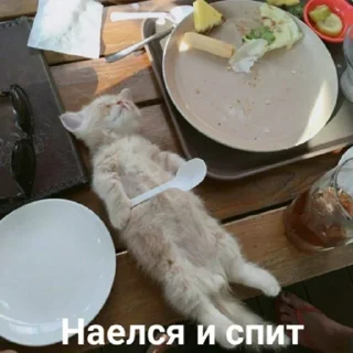 😴