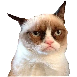 😾