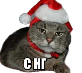 🎅