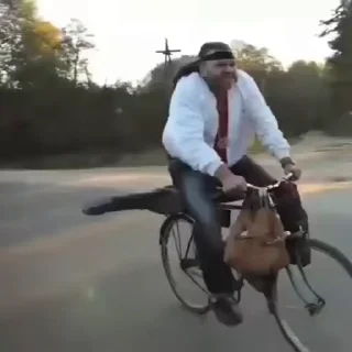 🚲
