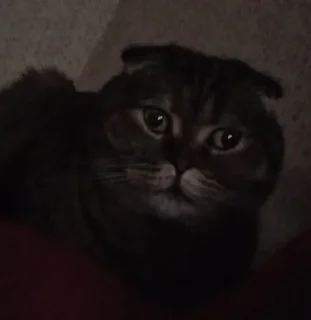 👀