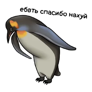 Порция Мемчиков