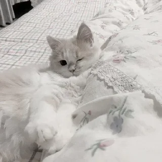 😘