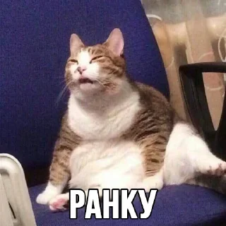 😮‍💨