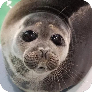 ❤