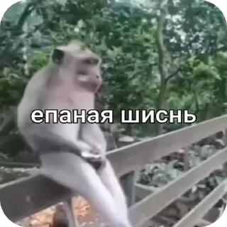 🥲