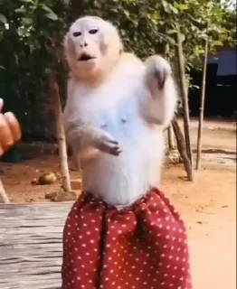 😍