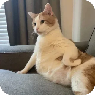 🤨