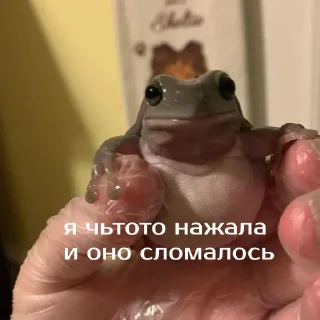 😨