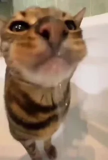 😋