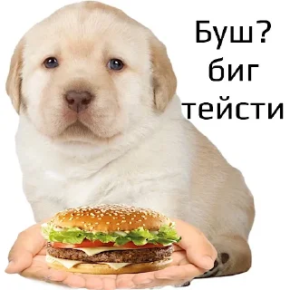 🍔