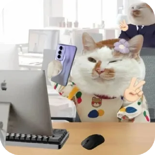🐱
