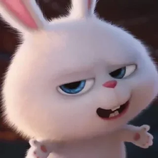 🐰
