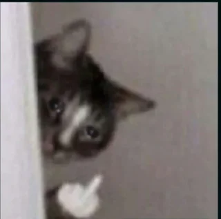 🥲