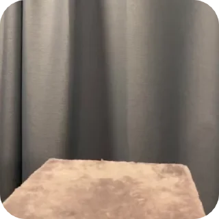📥