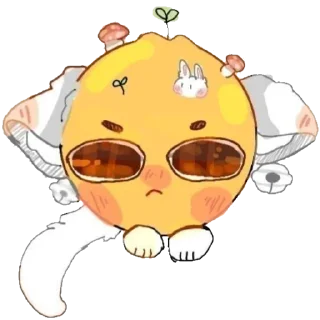 🐱