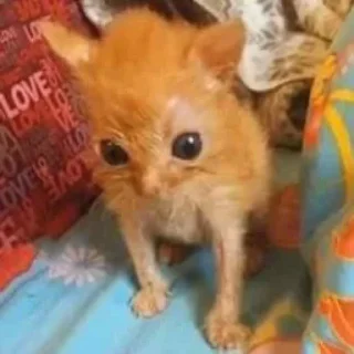 😖