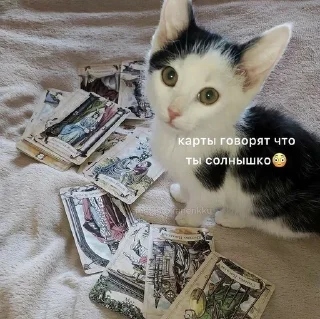 🤗