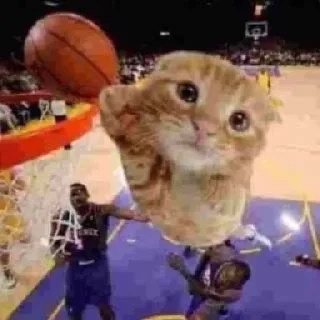 🏀