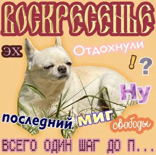 7️⃣