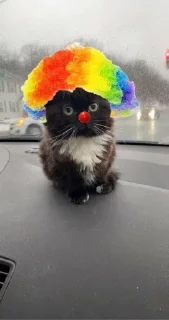 🤡