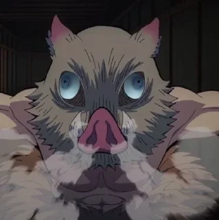 🐗