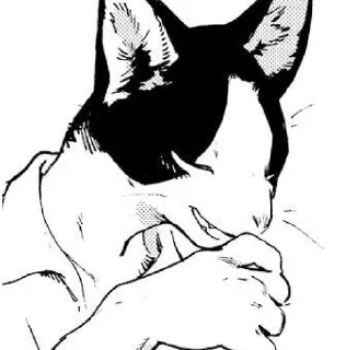 😺