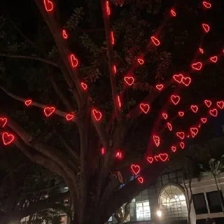 ❤️