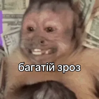 🤑