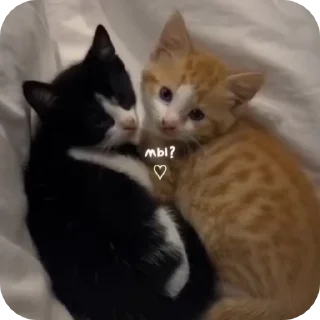 🥰
