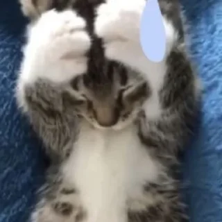 😥