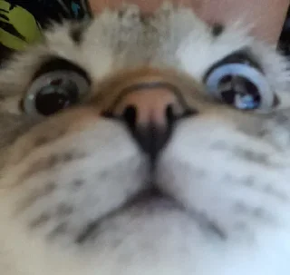 😳