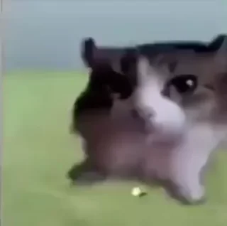 😶