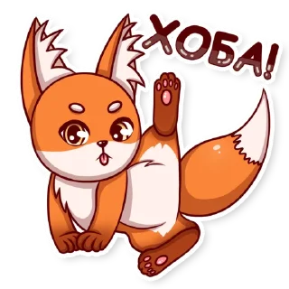 😋