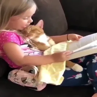 😴