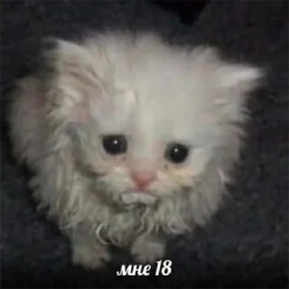 😟