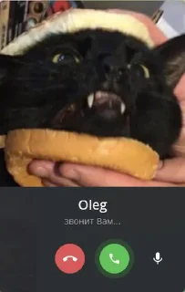 🙊