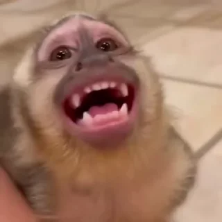 🌟