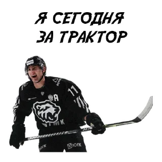 🐻