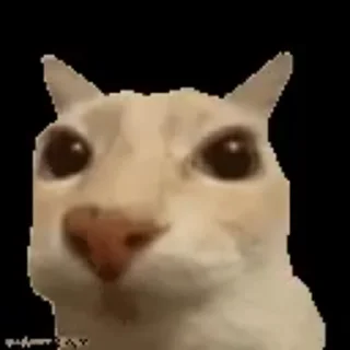 🕺