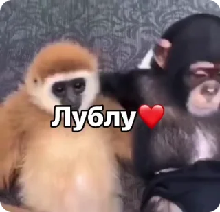 ❤️