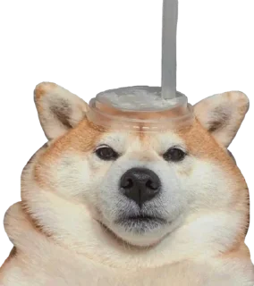 🥤