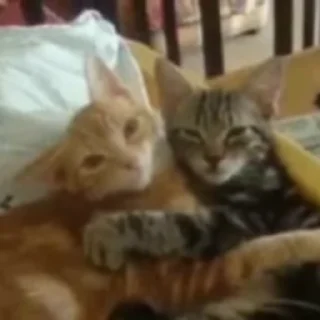 🥰