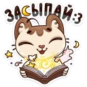 📖