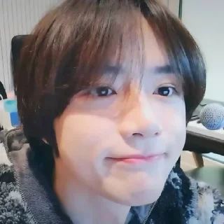 🐻