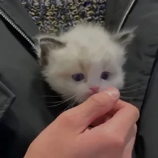 😕