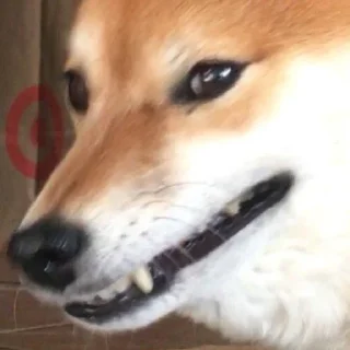 😈